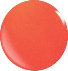 Color Acryl Powder N049/56 gr.